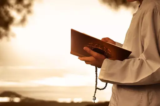 online quran translation courses